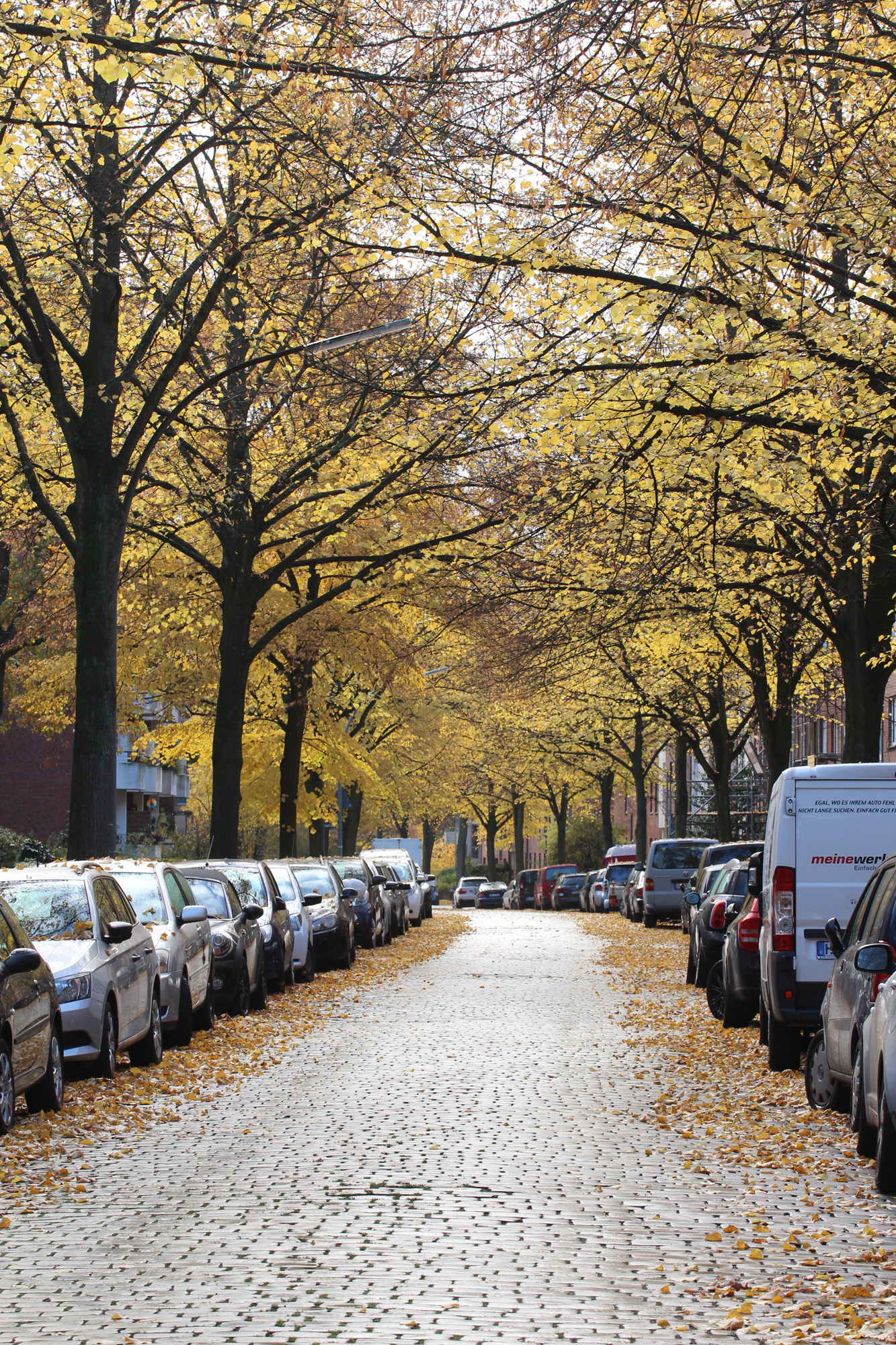 Herbststimmung in Hamburg