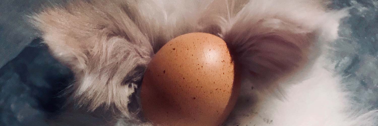 Frohe Ostern