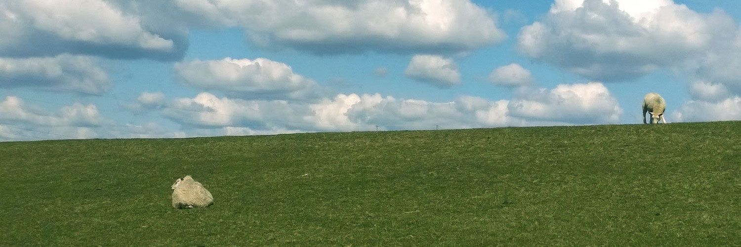 Wolken gucken