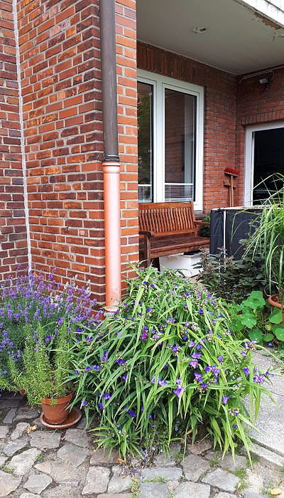 Urbaner Garten