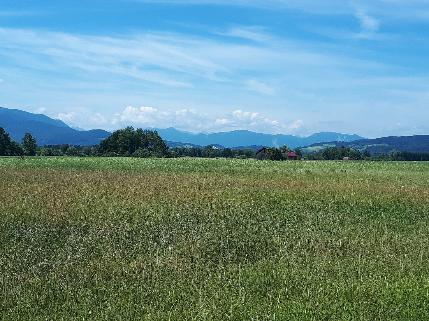 Loisacher Filz