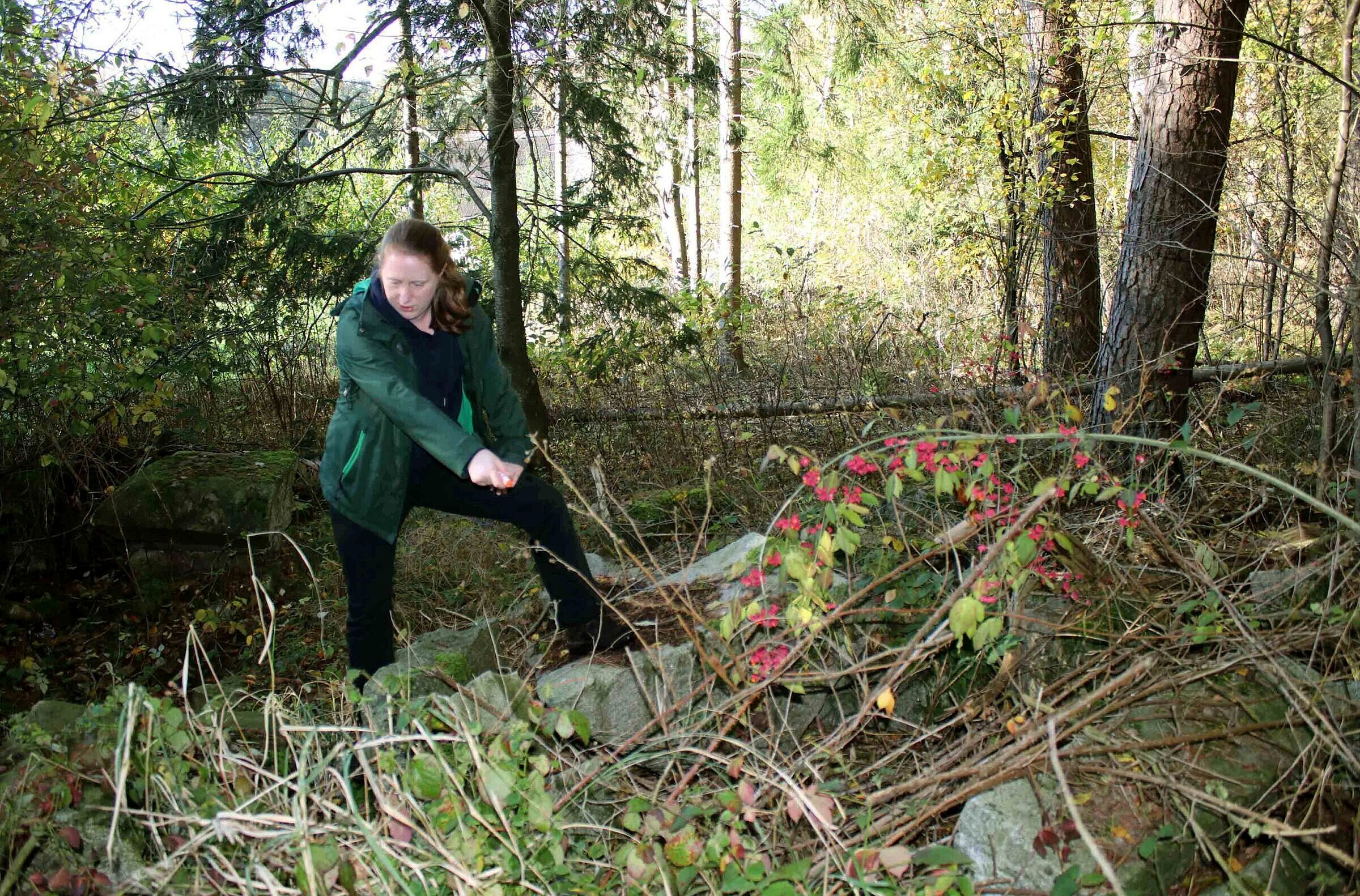 naturbasierte-loesungen-fischbek-2