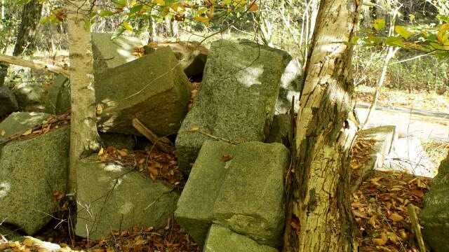 naturbasierte-loesungen