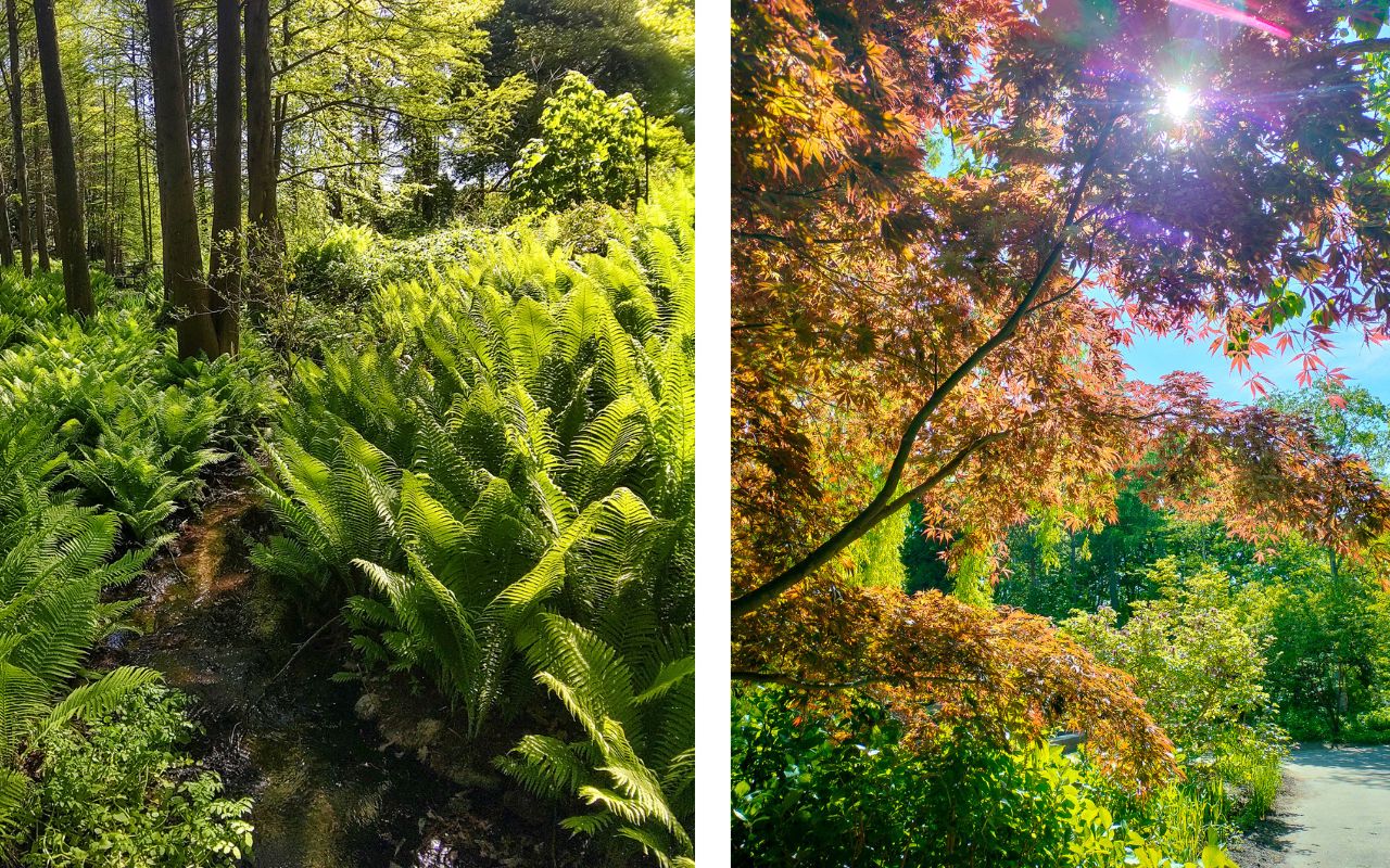 Botanischer Garten Hamburg