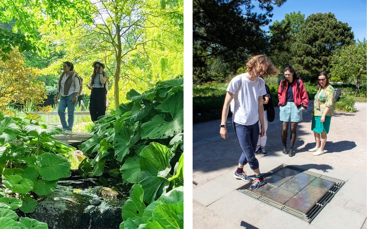Botanischer Garten Hamburg