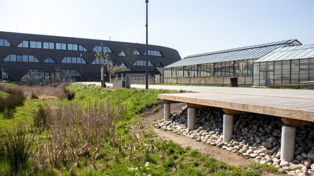 Immobilienwert steigern